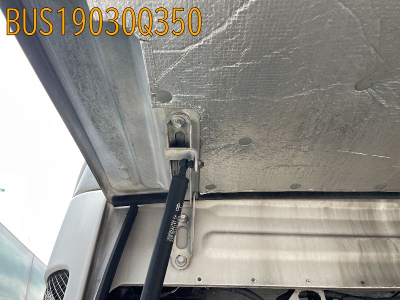 BUS19030Q350