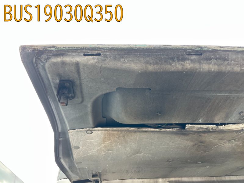 BUS19030Q350