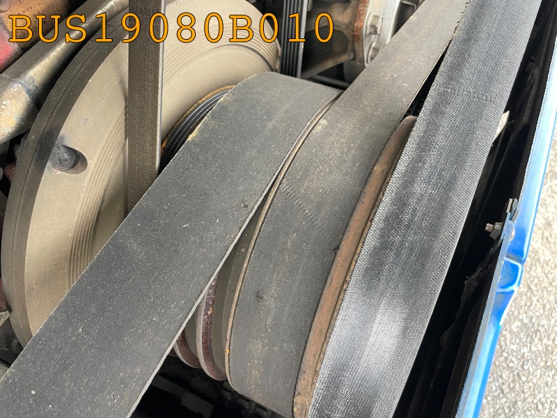 BUS19080B010