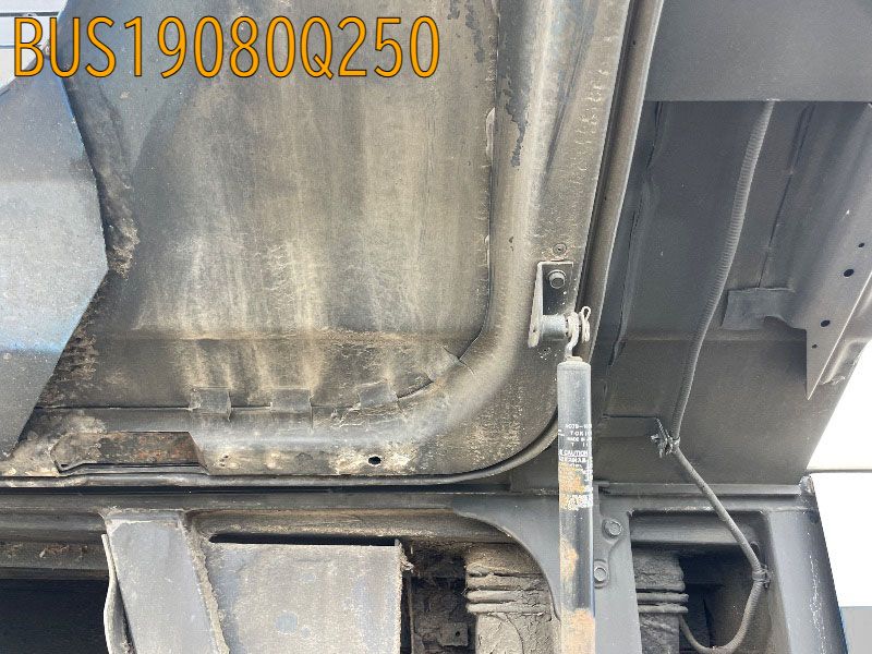 BUS19080Q250
