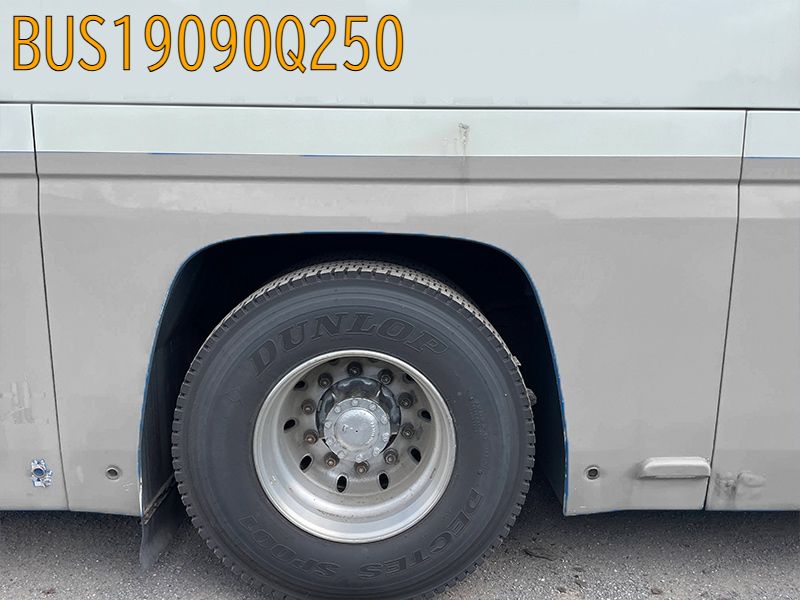 BUS19090Q250