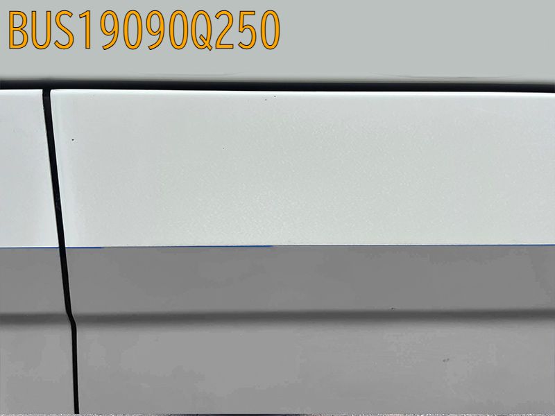BUS19090Q250