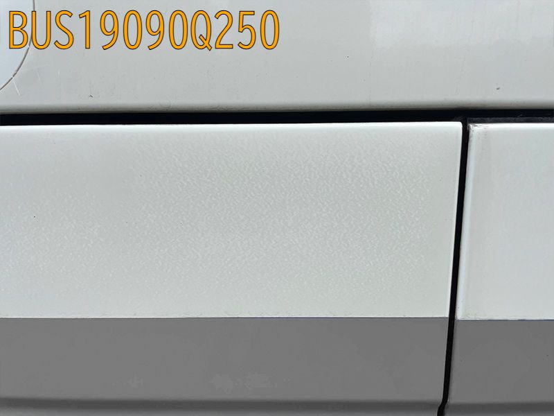 BUS19090Q250