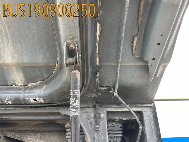BUS19090Q250