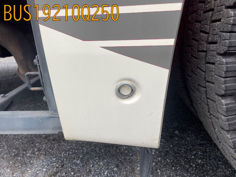 BUS19210Q250