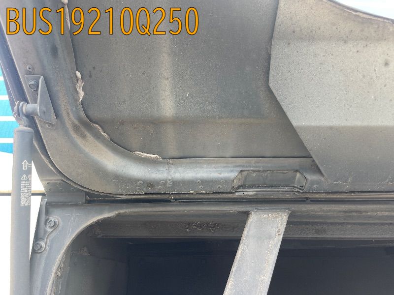 BUS19210Q250