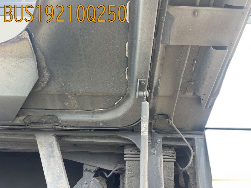 BUS19210Q250