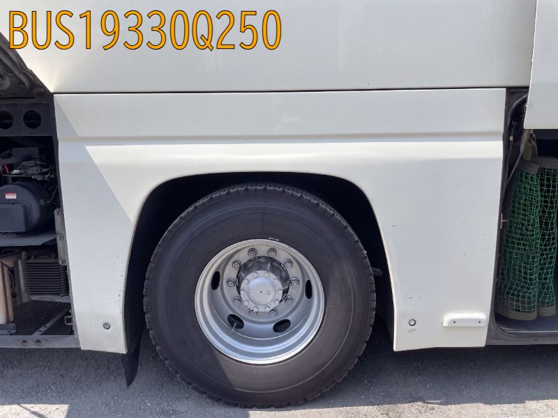 BUS19330Q250