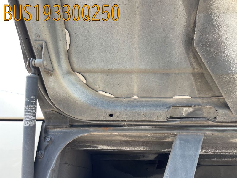 BUS19330Q250