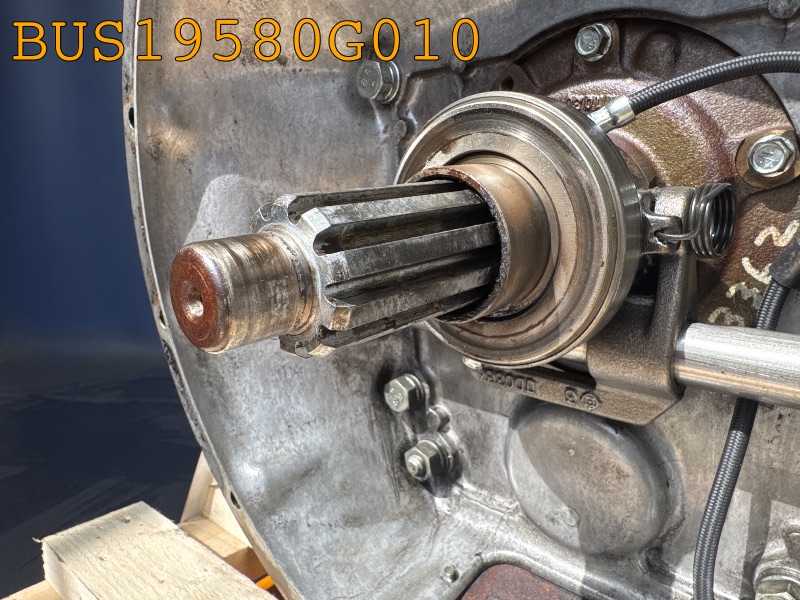 BUS19580G010