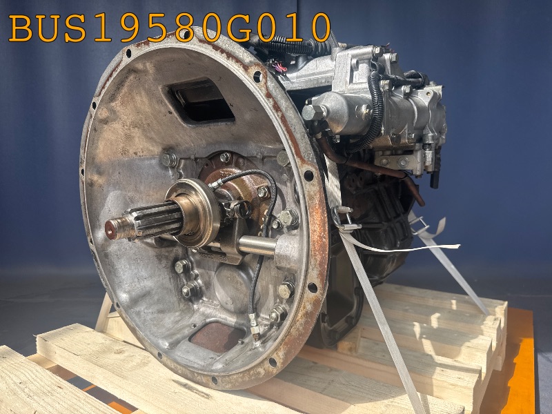 BUS19580G010