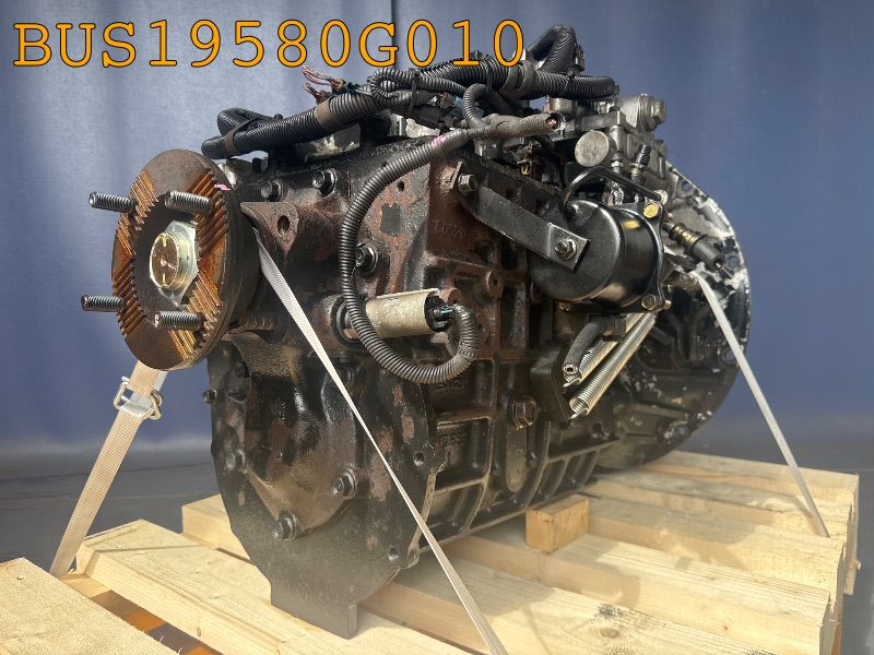 BUS19580G010