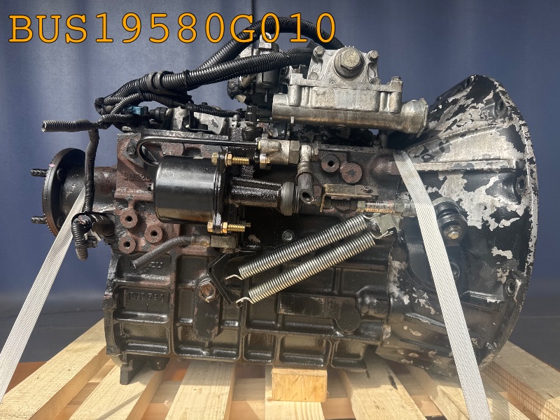 BUS19580G010