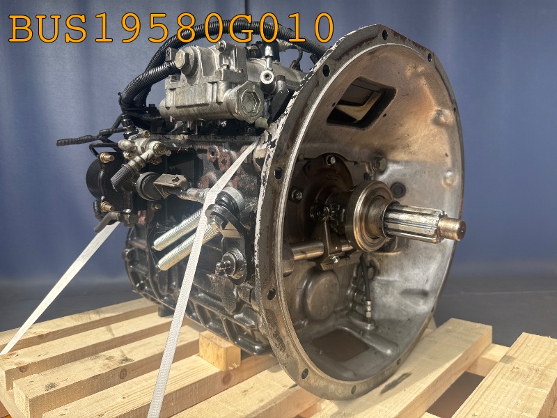 BUS19580G010